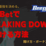 BeeBet BREAKINGDOWN12　賭ける方法